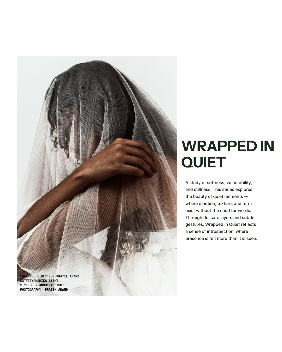 WRAPPED IN QUIET